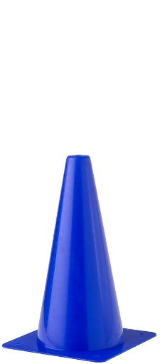 Afbeeldingen van Plastic Trainingskegel 23cm - Blauw - Teamsport